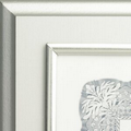 Brushed Silver Raised Designer Frame